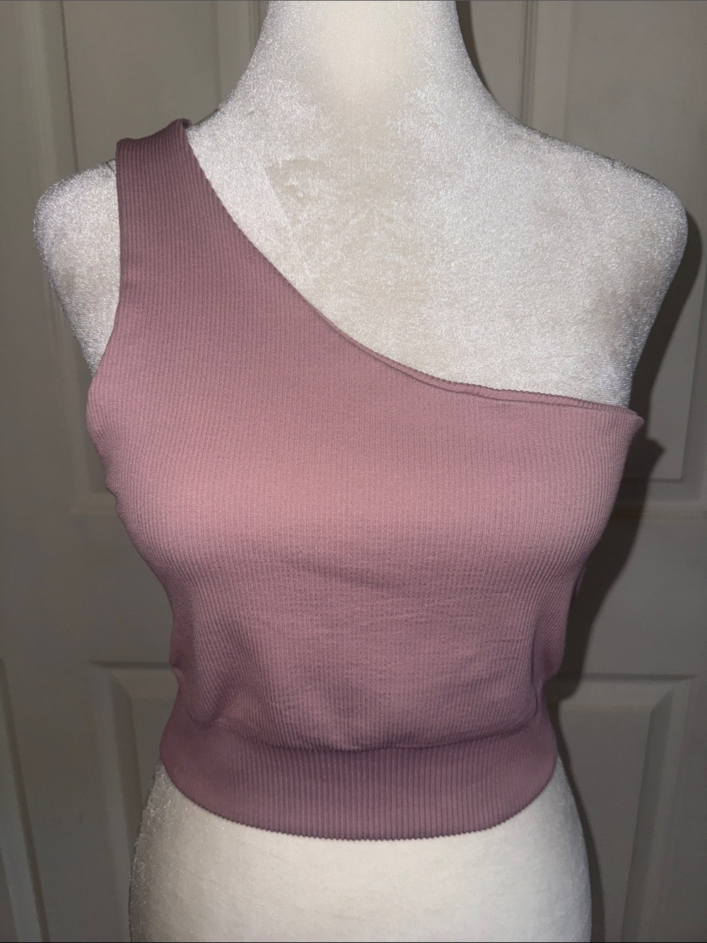 Lune Active The Rib One Shoulder Active Top In Wood Rose